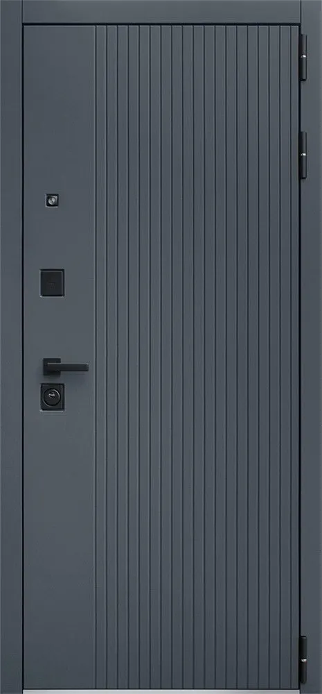 Товар Дверь Вертикаль с зеркалом DIS006700